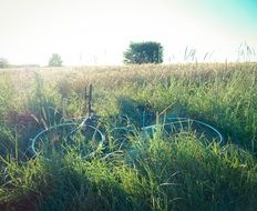 bike on a green meadow