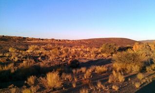 panorama of hunting reserve in South Africa