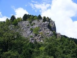 Tree covered mountain in Romania