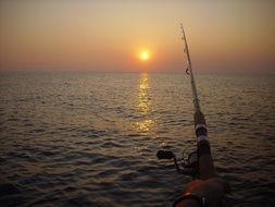 Fishing rod in the summer