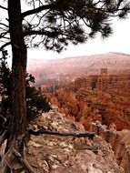 scenery of bryce canyon