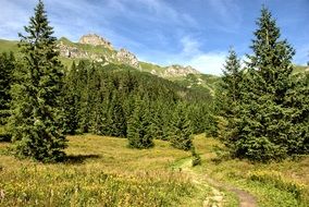 landscape of Tatry Slovakia