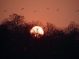 bright sun at sunset in India