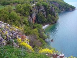 rocks and wild flowers by the lake