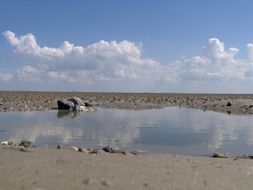 Wadden sea bottom