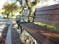 wooden benches under the trees