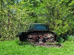 Old truck in the green forest