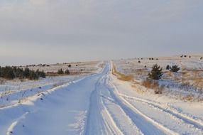winter snowy road in the countryside