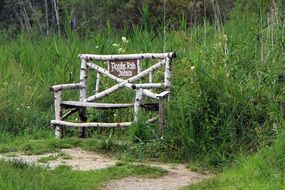 wooden bench among green grass