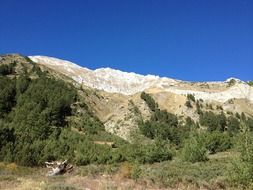 green plants at the foot of the mountain