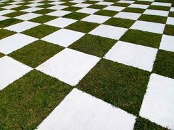 lawn as a decorative tile