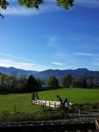 Beautiful Landscape with plants near Tegernsee, Bavaria in Germany
