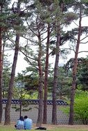 gyeongbok palace lover pair rest