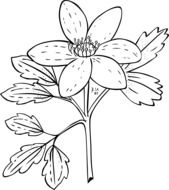 painted flower with leaves