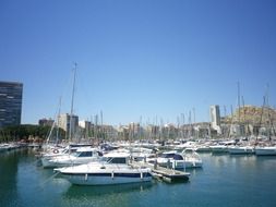 wonderful port