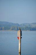 landscape view of heron bird on wooden post and lake