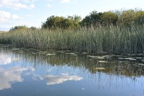 reflection of clouds in a river