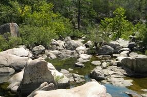 mountain river in the wild