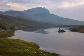 scotland sheep mountain