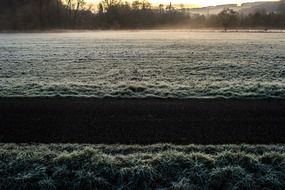 frost grass near the trail