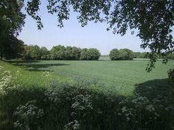 panoramic view of picturesque countryside on a sunny day