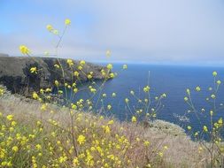 Landscape of channel islands national park