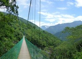 suspension bridge in jungle of taiwan