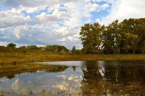 autumn mirror pond in the forest