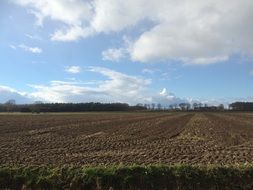 landscape of the countryside in Netherlands