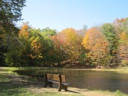 landscape of unimaginable fall trees and lake