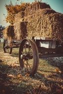 hay wagon cart farm wheel view