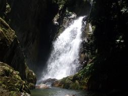 Beautiful waterfall with splashes of water on a rock with colorful plants