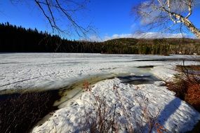 nature in the thaw