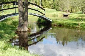 bridge over a stream in a japanese park