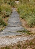 weathered wooden boardwalk