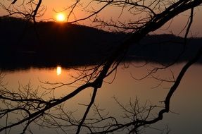 Beautiful view through the dark branches of a tree on water at colorful sunset