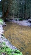 river in the forest in winter