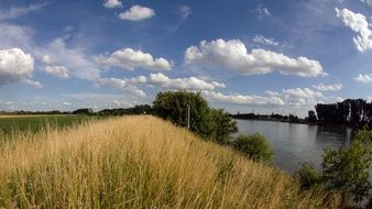 landscape of summer over the dam on the rhine