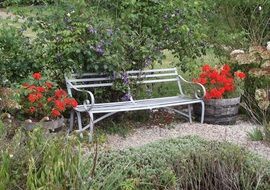 metal bench in the flowered garden