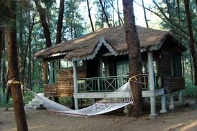 wooden hut and a hammock in a forest in India