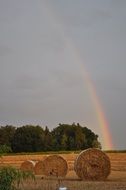 rainbow over the field and trees