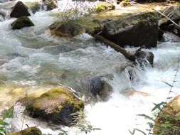 waterflow among rocks, forest river