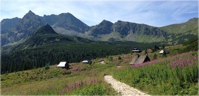 wooden houses on a slope on the background of Tatra Mountains, Poland