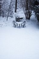 winter garden nature