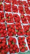 red strawberries in boxes on market