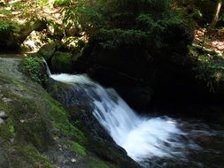 small forest waterfall with running water