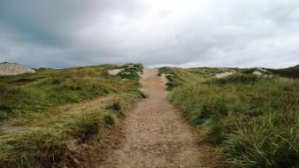 landscape of trail in the desert nature of Denmark