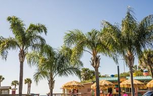 wonderful island florida