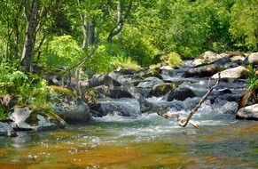 river and waterfall summer