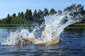 splash of water on the lake